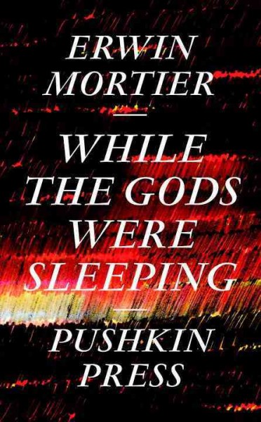 While the gods were sleeping / Erwin Mortier ; translated from the Dutch by Paul Vincent.