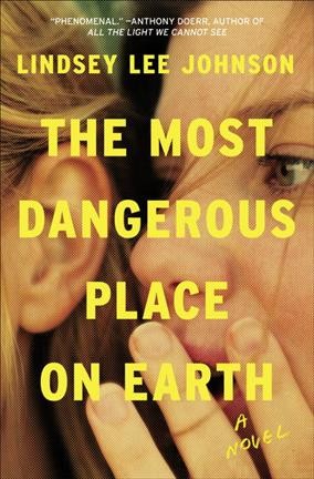 The most dangerous place on earth : a novel / Lindsey Lee Johnson.