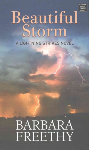 Beautiful storm / Barbara Freethy.