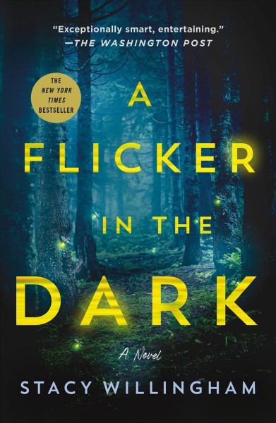 A flicker in the dark / Stacy Willingham