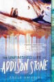 The unfinished life of addison stone a novel  Cover Image