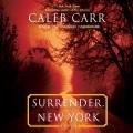 Surrender, New York : a novel  Cover Image
