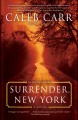 Surrender, New York : a novel  Cover Image