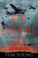 Red burning sky  Cover Image