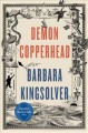 Go to record Demon Copperhead : a novel